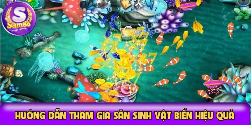 hướng dẫn săn bắn cá