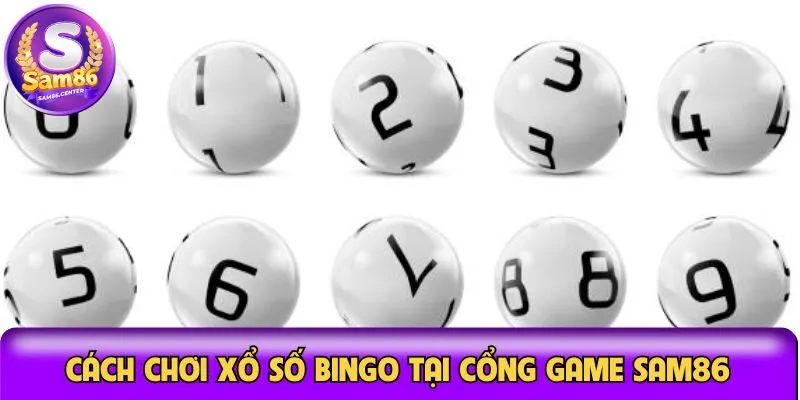Cách chơi xổ số Bingo tại cổng game Sam86